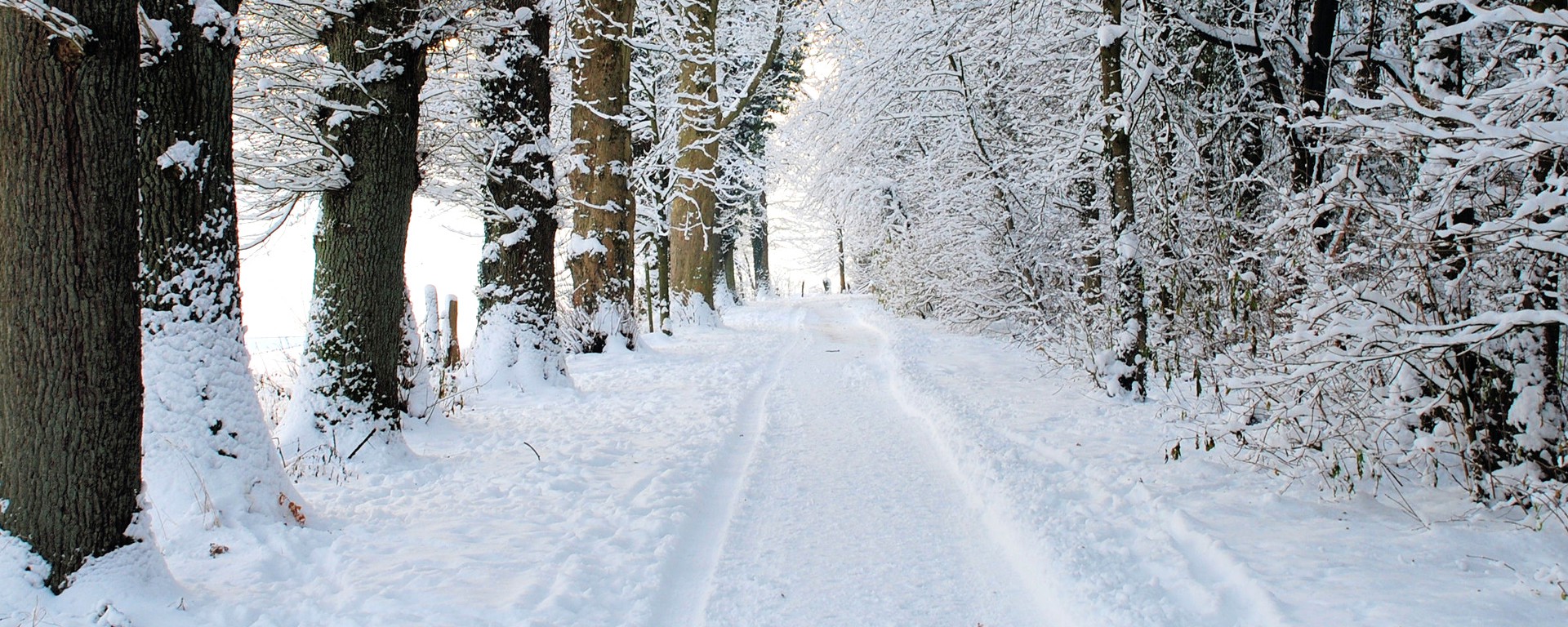 winter walk