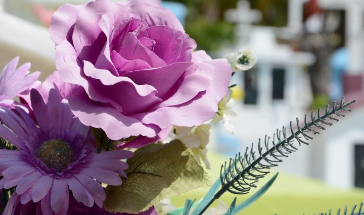 Connecticut mortician requirements