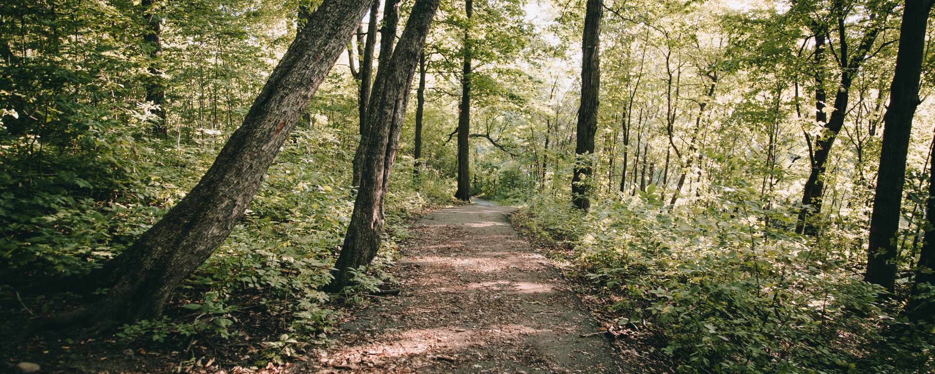 connecticut walking trails for disabled adults