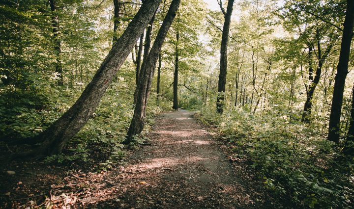 connecticut walking trails for disabled adults